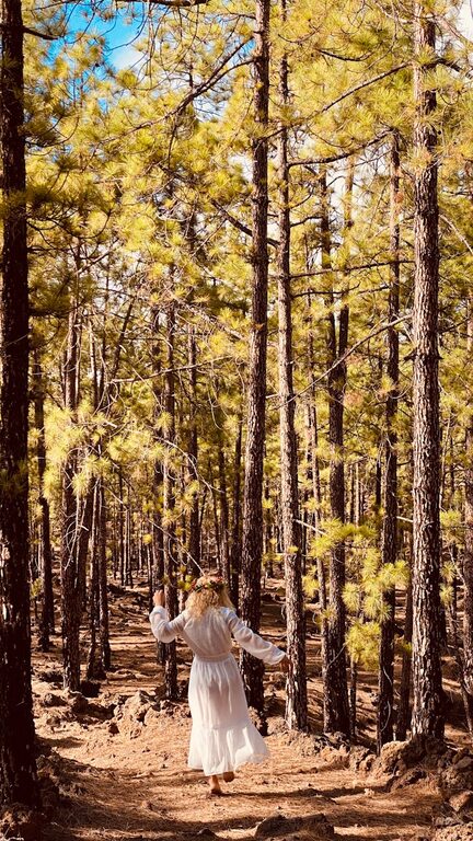 Beginner Guide to Mindful Walking: Steps to Inner Peace